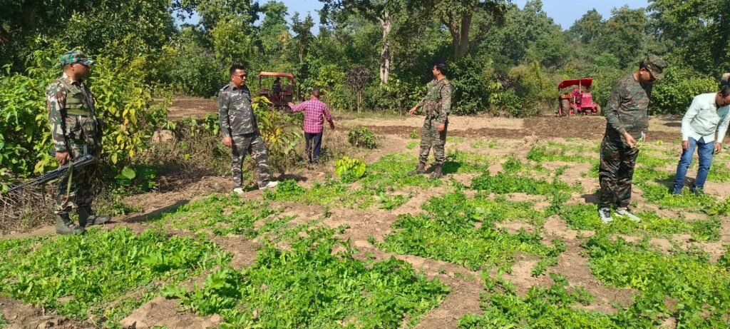 अभियान के चौथा दिन मनातू पुलिस नें आधे दर्जन गांव में लगें पोस्ता खेती को एक दर्जन ट्रैक्टर से फसल किया जा रहा है नष्ट ।