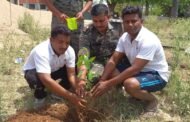 मनातू थाना प्रभारी निर्मल उरांव ने थाना परिसर में किया पौधारोपण