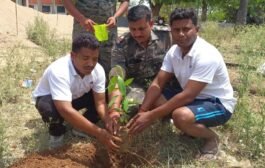 मनातू थाना प्रभारी निर्मल उरांव ने थाना परिसर में किया पौधारोपण