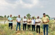 विश्व पर्यावरण दिवस के अवसर पर नावा जयपुर थाना पुलिस ने लगाई दर्जनों पेड़ पौधे!