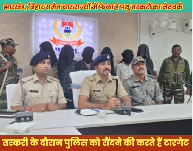 झारखंड, बिहार समेत चार राज्यों में फैला है पशु तस्करों का नेटवर्क : तस्करी के दौरान पुलिस को रौंदने की करते हैं टारगेट