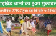 हाइब्रिड धानो का हुआ मुकाबला पायोनियर 27P37 हुआ डंके कि चोट पर विजेता