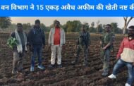 बड़ी कार्रवाई :  वन विभाग ने 15 एकड़ अवैध अफीम की खेती नष्ट की