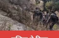 पुलिस ने दिया मानवता का परिचय, सर्प दंश पीड़ित महिला को पहुंचाया अस्पताल