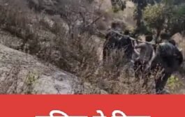 पुलिस ने दिया मानवता का परिचय, सर्प दंश पीड़ित महिला को पहुंचाया अस्पताल
