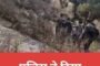 पांकी में स्वास्थ्य शिविर का भव्य शुभारंभ विधायक ने दीप प्रज्वलित कर स्वास्थ्य शिविर का किया उद्घाटन।