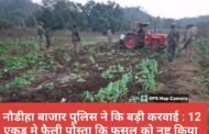 नौडीहा बाजार पुलिस ने कि बड़ी करवाई : 12 एकड़ मे फैली पोस्ता कि फसल को नष्ट किया 