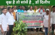 विश्व पर्यावरण दिवस के अवसर पर मजदूर किसान महाविद्यालय परिसर में हुआ वृक्षारोपण। वृक्ष है तो सांसें है _ डॉ दिलीप
