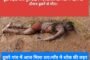 टूटी सड़क और पुल देखने गए किशोर की नदी में नहाने के दौरान डूबने से मौत।दूसरे गांव में आज मिला शव।गाँव मे शोक की लहर