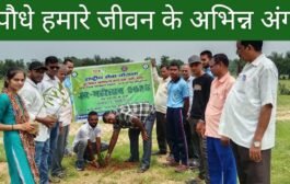 पेड़ पौधे हमें न केवल फल, फूल और छाया प्रदान करते हैं बल्कि पर्यावरण को भी स्वच्छ रखते हैं - डॉ दिलीप