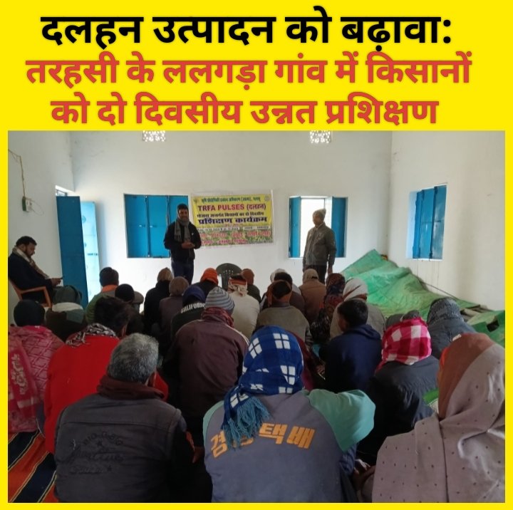 दलहन उत्पादन को बढ़ावा: तरहसी के ललगड़ा गांव में किसानों को दो दिवसीय उन्नत प्रशिक्षण