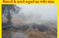 लेस्लीगंज: चौखड़ा गांव में खलिहान में लगी भीषण आग, हजारों का पुआल राख; किसानों के सामने पशुचारे का गंभीर संकट