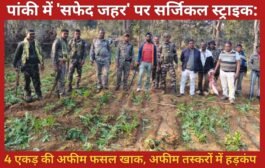 पांकी में 'सफेद जहर' पर सर्जिकल स्ट्राइक: 4 एकड़ की अफीम फसल खाक, अफीम तस्करों में हड़कंप